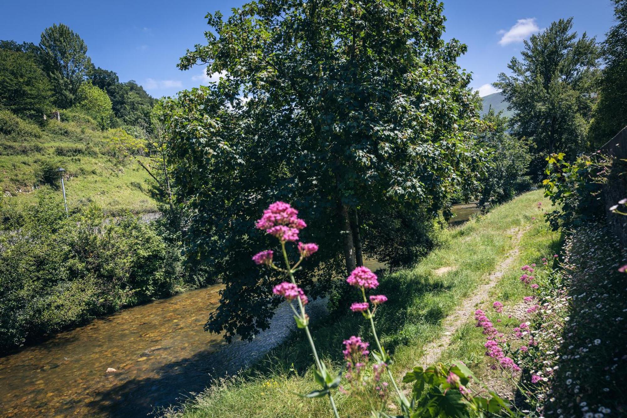 Finca La Naguada Casa Rural En Asturias Beloncio Eksteriør billede
